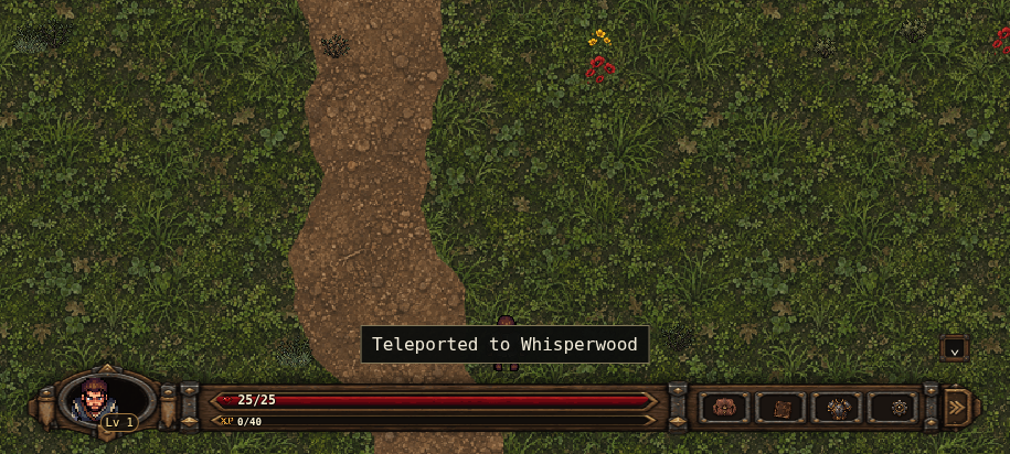Forest exploration